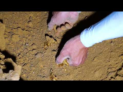 The boy discovered a rare treasure it was so surprising