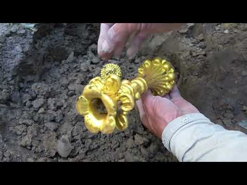 Using metal detectors to search for precious treasures in