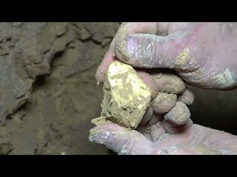 The boy accidentally found an underground treasure buried