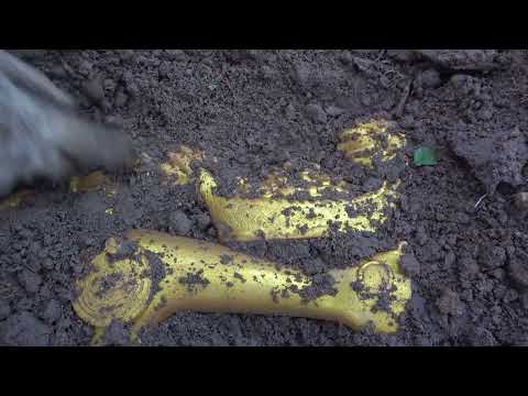 I used the detector to find treasure and sent out an old
