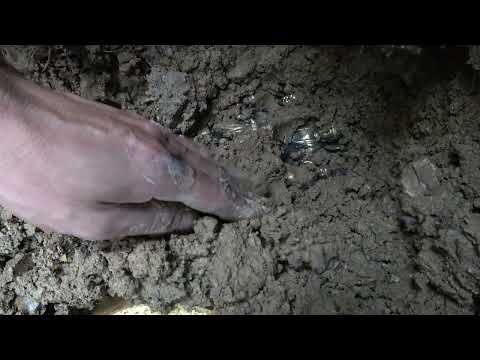 Found Possible Murder Weapon Underwater in a Shallow Urban