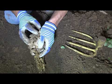 How to maintain your metal detector to extend its service