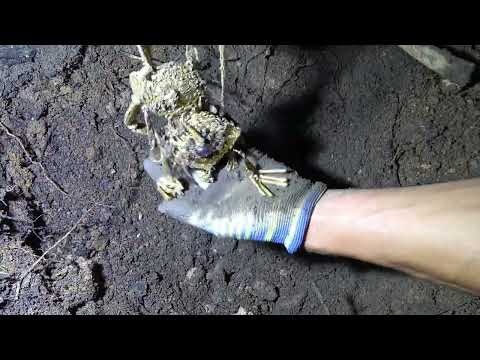 I Bought a House Then Excavated My Backyard The Big Reveal