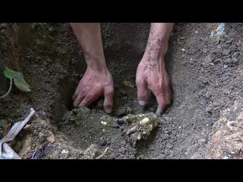 The mystery of treasure the thrilling journey of wilderness