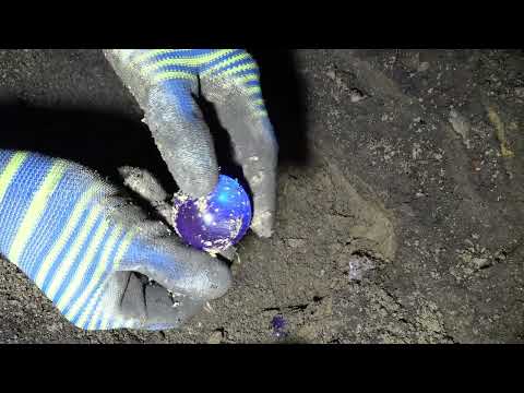 Abandoned fish pond found golden shells filled with