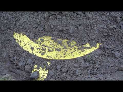 The gold brick treasure buried in the cave has been