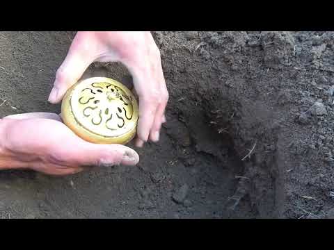 The boy searched for treasure in the wild and found super