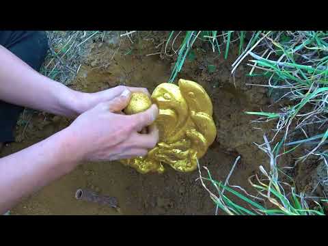 I searched for treasure in the wilderness and found a huge