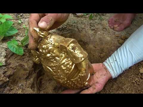 Nature s Hidden Vault Rare Gold and Gemstones Discovered by