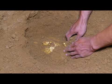 Wild treasure hunting 50 treasures discovered through metal
