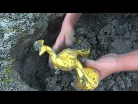 Discovery of treasure nests in the wild