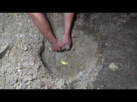 Explore gold hunters for treasures thrilling wilderness