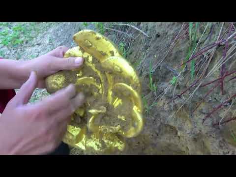 The boy searched for treasure in the wild and found super
