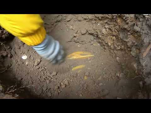 Discovering the peerless divine axe at Luanshigang
