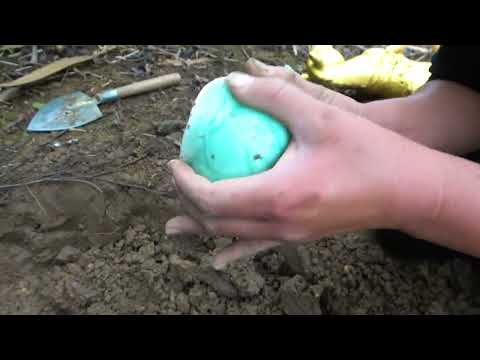 Discovered a jar full of gold ingots in an old house that
