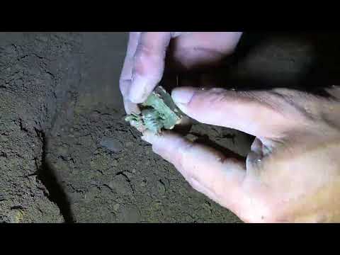 I used the detector to search for treasures and found a jar