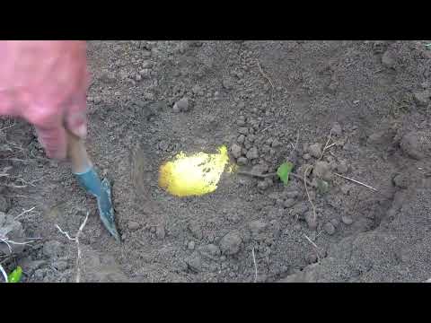 Going Deep Underground Unveiling the Working Principle of