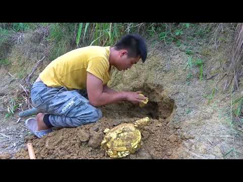 Find a treasure gathering place in the wilderness and make