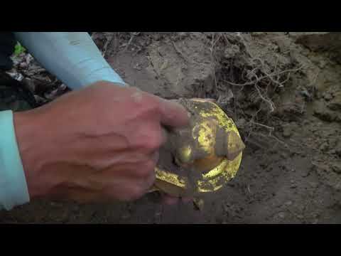 Unveiling the dream of treasure the wilderness exploration
