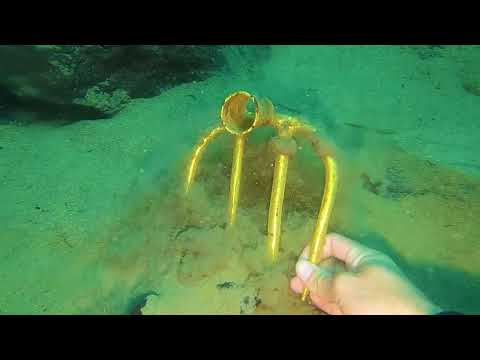 A man was hunting for treasure in the wild and accidentally