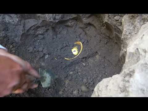 Metal detectors ignite a treasure hunting frenzy Treasures