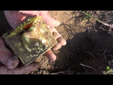 Gold Hunter Treasure Secrets Wilderness Treasure Hunt