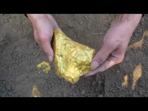 Wonders of Wilderness Exploration Metal Detector Takes Me