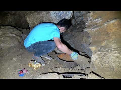 Mysterious Ghost Cave Discovers Flower Snake Guardian