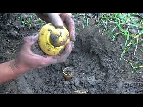I accidentally discovered a huge treasure buried