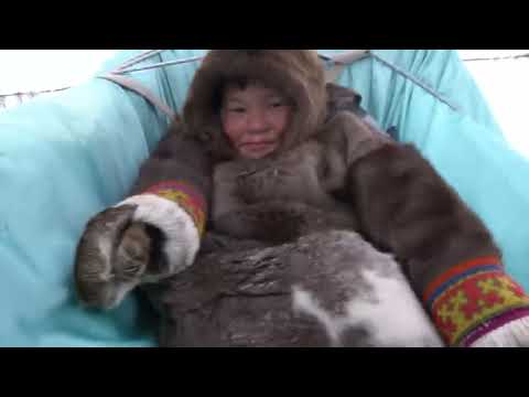 Far North Survival Building the dwelling of the Nenets CHUM