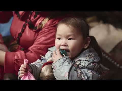 How Nenets Nomads Live in the HARSH Arctic Conditions of