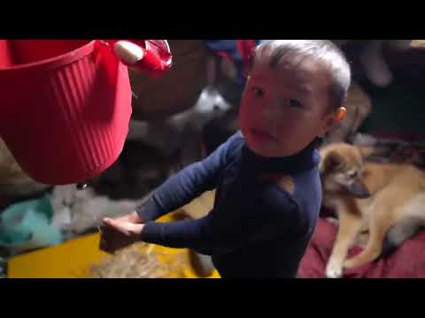 Children of TUNDRA Winter Everyday life of nomads North of