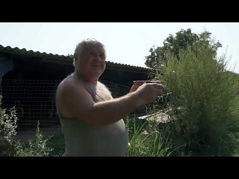 Rural Life in in the Caucasus Mountains in Russia How