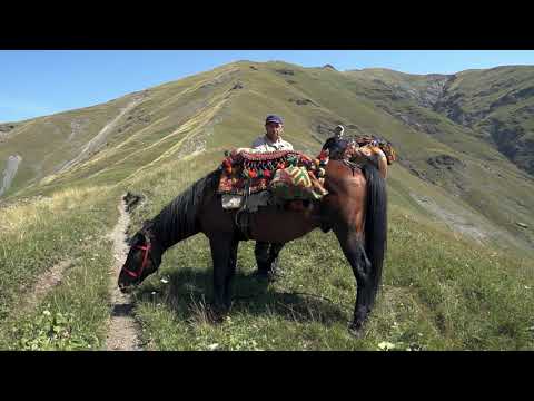 DAGESTAN GRASS sheep cheese shepherds Milking sheep and