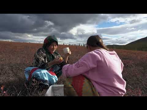 Life In Tundra in FAR NORTH How people live in Russia Yamal