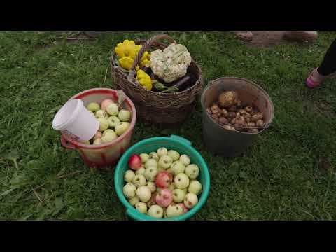 Life Of A Large Family In The RUSSIAN Province Russia 2024