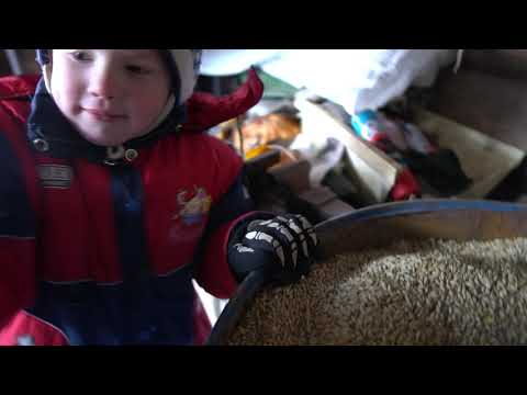 A WINTER DAY IN CHUVASHIYA One day of the family in