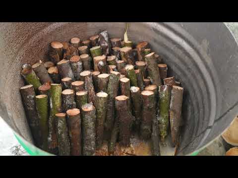 Dark Juicy Bushido Sausages Smoked On A Mountain Fire