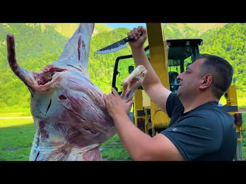 A Giant Bull Roasted Underground Only An Excavator Could