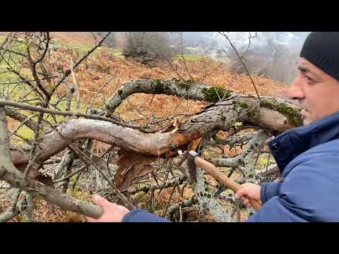 CRISPY DELICIOUS CHICKEN IN NATURE CHICKEN KEBAB COOKED BY