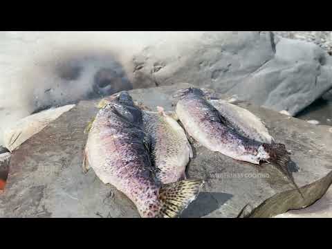 Caught a TROUT in the River and Cooked it on the Rocks The