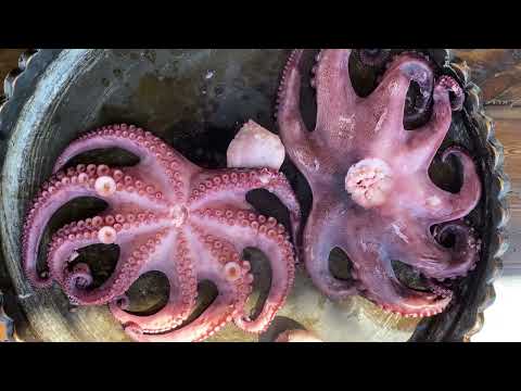 How Juicy To Cook OCTOPUS With Vegetables A Very Tasty