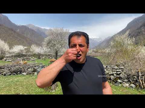 VERY JUICY AND SOFT BEEF SHISH KEBAB PERFECT MEDIUM RARE
