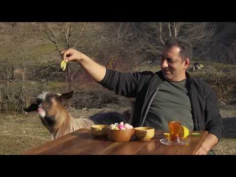 Cooking Lamb Cabbage Rolls with Delicious Stewed Ribs NO