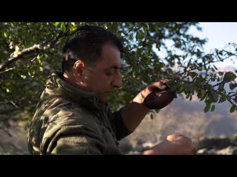 A rare recipe for Beef STOMACH Cutlets The delicacy of the