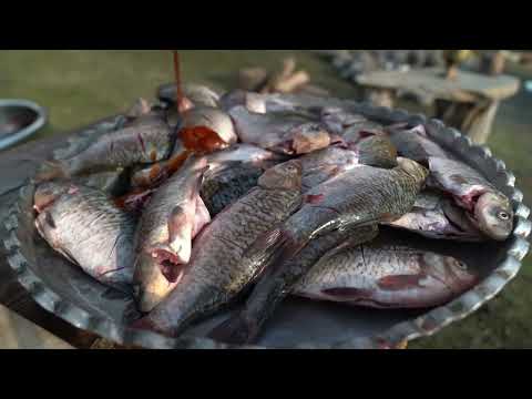 A New Technique for Grilling Fish I Made It With My Own