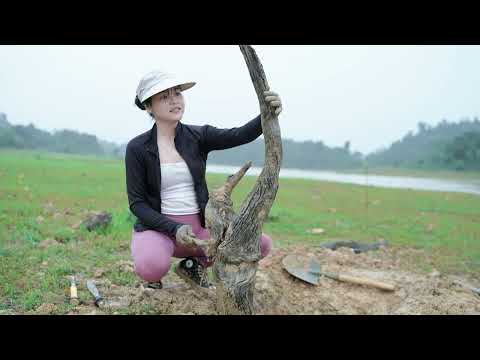 Young Girl Digs Up Driftwood Then Makes a Beautiful Lamp