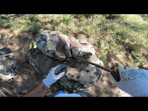 Kaplumbağa Kasasının İçinden Çıkan Muhteşem Define