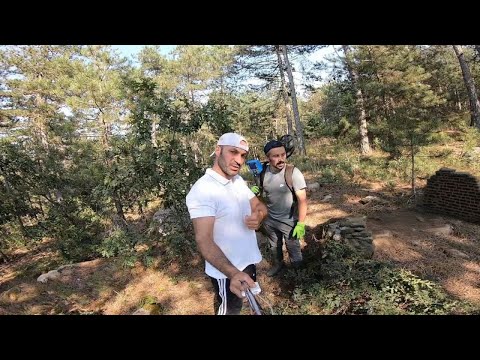 Define Kasası Kayadaki Yılan Oymasının Altından Çıktı