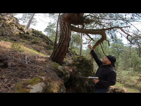Definedeki İşareti Çözerek Milyonluk Hazine Buldum